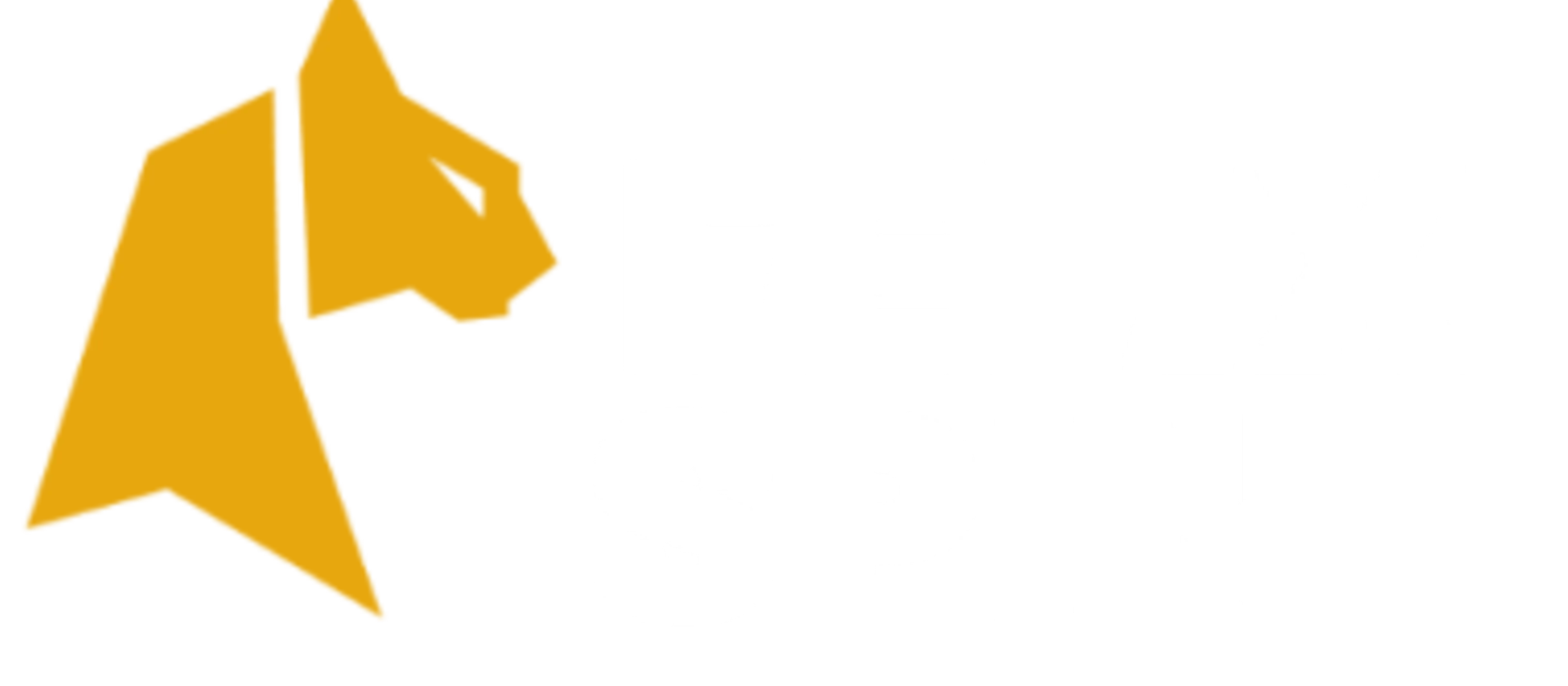Felixspin 1